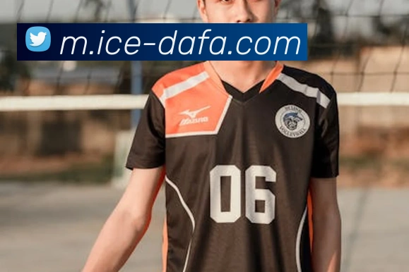 大发彩票发展历程